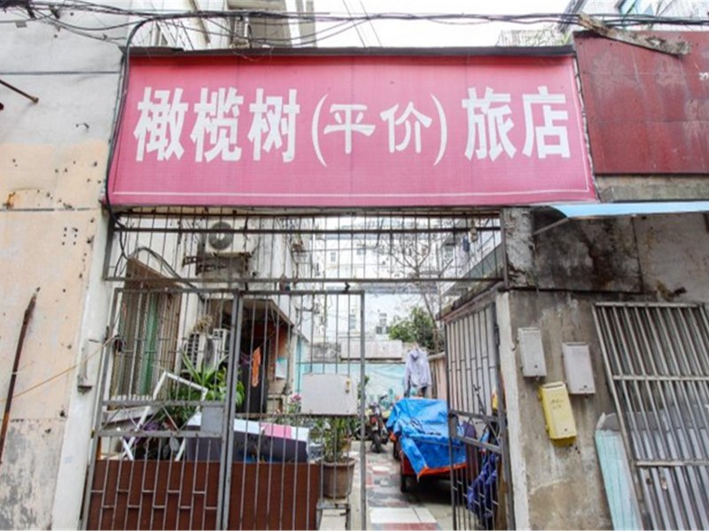 合肥橄榄树旅社