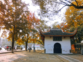 湖南旅行跟團_到湖南旅游多少錢_湖南高端品質(zhì)旅游團