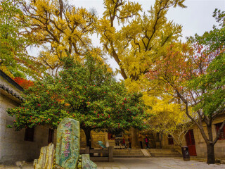 以往國慶山東青島游價(jià)格_山東青島半自助游_山東青島旅游跟團(tuán)多少錢