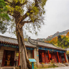 景点模块 