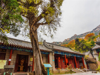 青島半自由行_青島自由行旅游團(tuán)_到青島旅游多少錢(qián)