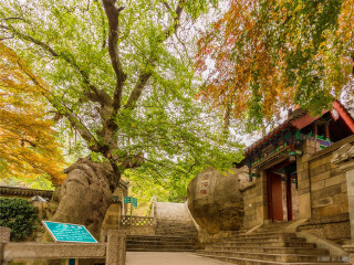 以往國慶山東青島游價(jià)格_山東青島半自助游_山東青島旅游跟團(tuán)多少錢