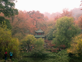 湖南旅行跟團_到湖南旅游多少錢_湖南高端品質(zhì)旅游團