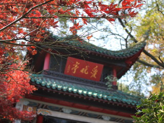 湖南旅行跟團_到湖南旅游多少錢_湖南高端品質(zhì)旅游團