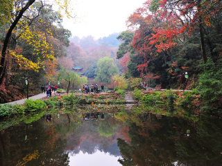 湖南旅行跟團_到湖南旅游多少錢_湖南高端品質(zhì)旅游團