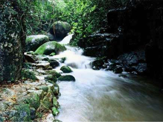 東北四日游_10月東北的旅游路線_東北特價(jià)旅游團(tuán)報(bào)價(jià)