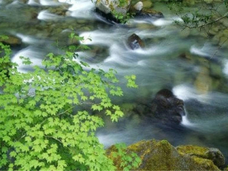 東北四日游_10月東北的旅游路線_東北特價(jià)旅游團(tuán)報(bào)價(jià)