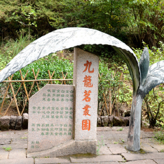 景点模块 