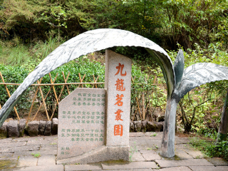 武夷山十日旅游_武夷山旅游高端团_春节期间武夷山旅游团