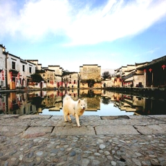 景点模块 