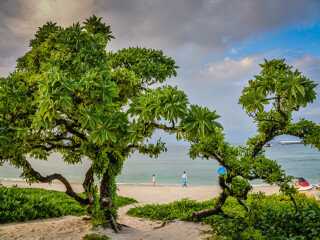 海南三亞自由行費用_現(xiàn)在去海南三亞旅游多少錢_海南三亞半自助游