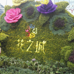 活动模块 