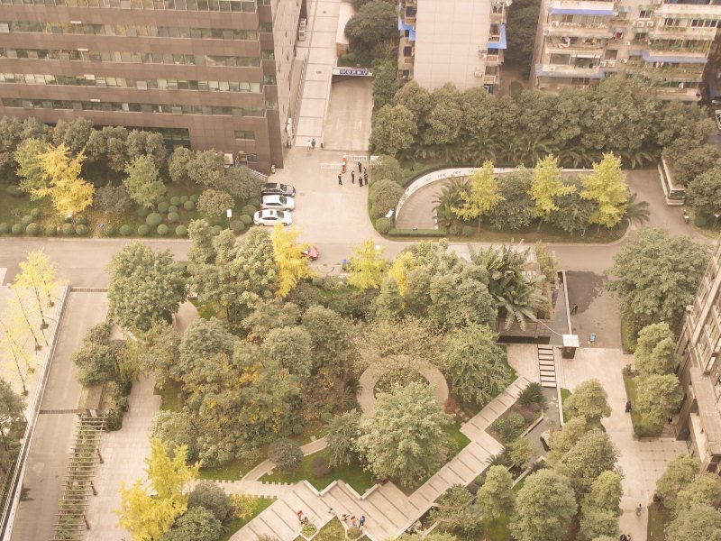 成都都市蜜桔度假公寓