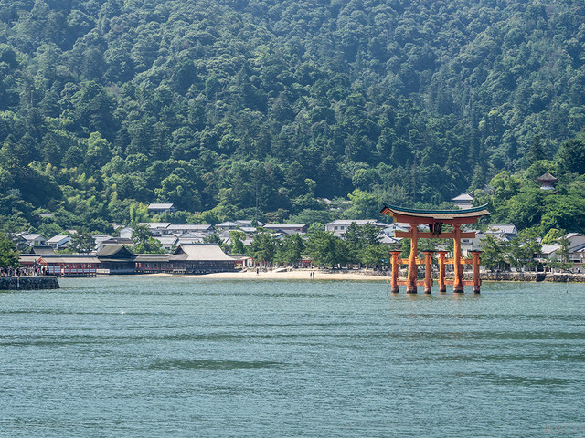 探秘日本的「神之岛」与海中鸟居奇景