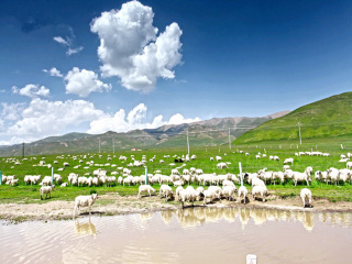 甘肅蘭州旅行團(tuán)自由行_甘肅蘭州旅游價(jià)格多少跟團(tuán)_甘肅蘭州旅游團(tuán)報(bào)價(jià)自由行