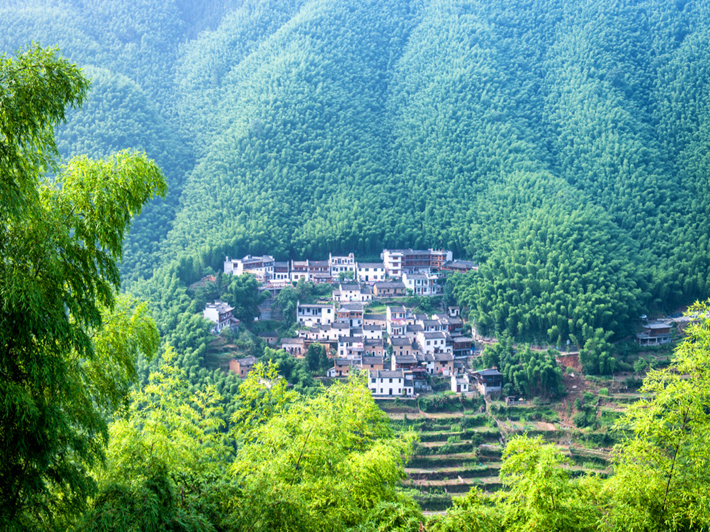 皖南2日游门票全含(西递,木坑竹海,屏山,石林花海)