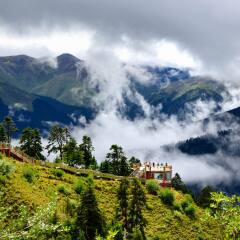 鲁朗林海 景点模块