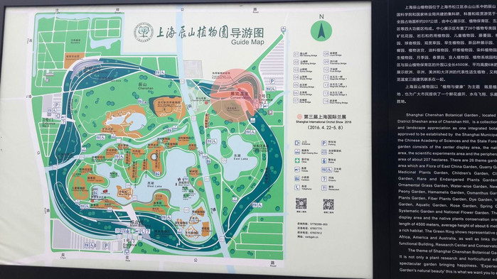抢红包#上海松江辰山植物园泰晤士小镇自驾一日游【首发】