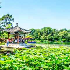 景点模块 
