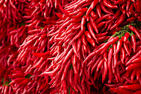 food_picture