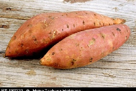 food_picture