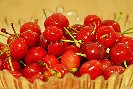 food_picture