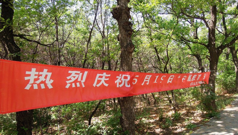 进入景区往前走,会看到热烈庆祝5月19日"中国旅游日"的条幅挂在树上