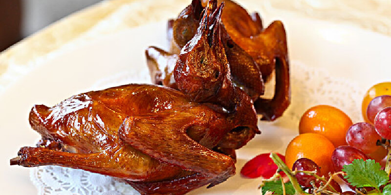 平原乳鸽价格_专卖店_哪里买