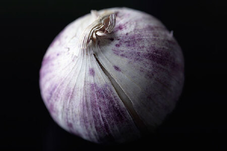 food_picture