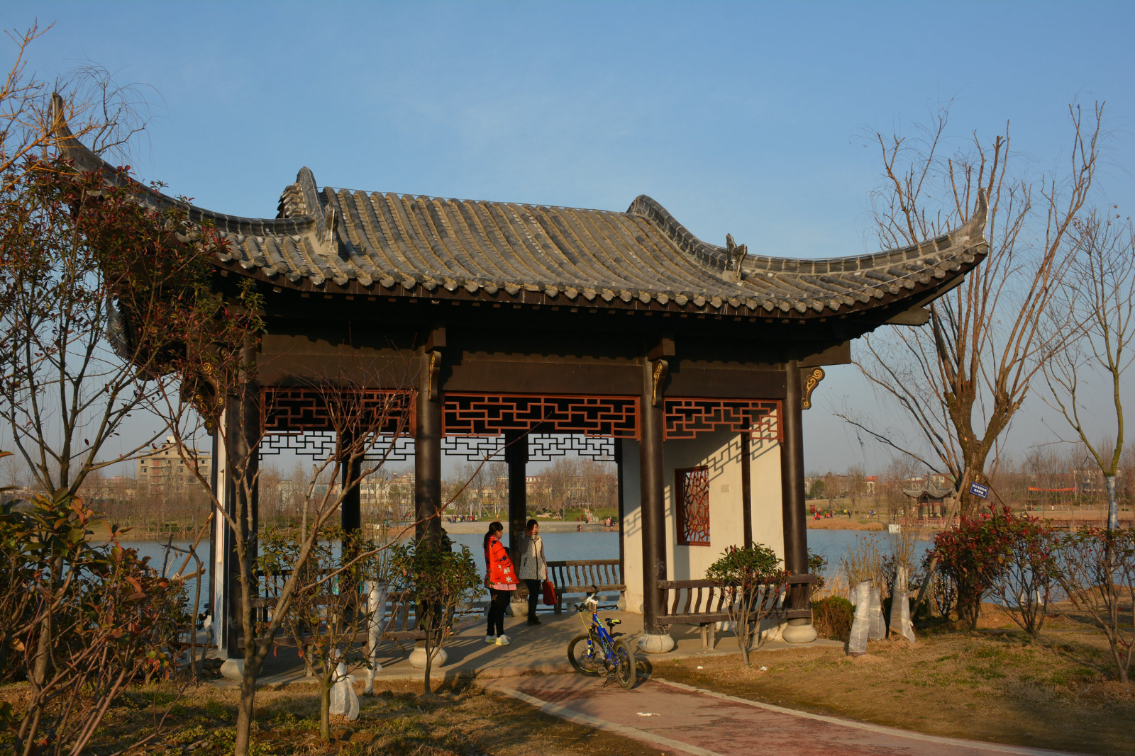 过大年家乡界首小城美景①颍南植物园