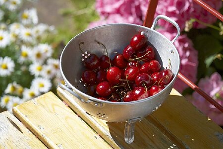 food_picture