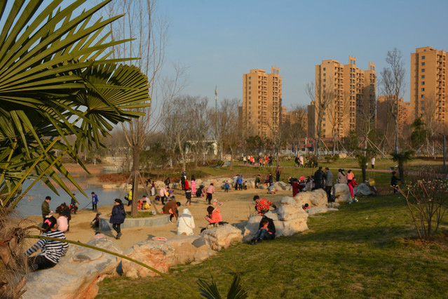 过大年家乡界首小城美景①颍南植物园