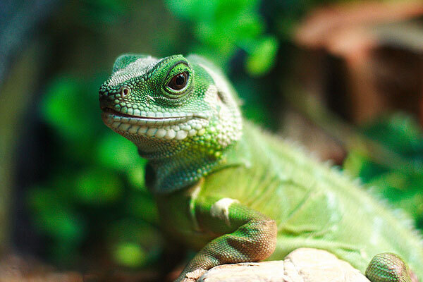 从热带风暴到上海海洋水族馆有多远_从热带风