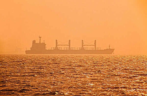 从热带风暴到上海图书馆有多远_从热带风暴到