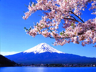 日本10日游旅行团_旅行线路日本_日本5天跟团旅游