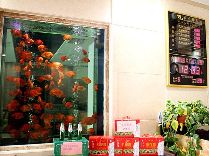 酒店大堂