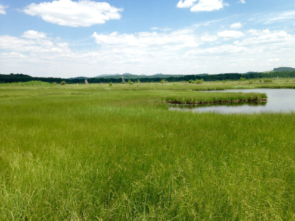 月去巴西旅游必备物品_二月去巴西旅游景点推