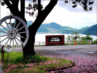 北海道十日旅游价格_期间北海道旅游跟团_北海道6天5晚跟团游