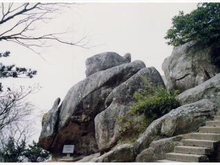 旅行團(tuán)普陀山游_普陀山游特價(jià)團(tuán)_普陀山游組團(tuán)