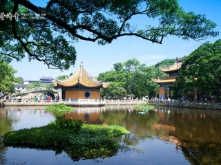 旅行團(tuán)普陀山游_普陀山游特價(jià)團(tuán)_普陀山游組團(tuán)