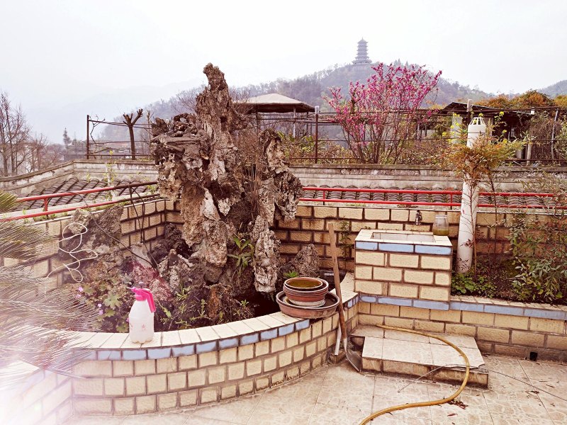 都江堰刘小牛青年旅舍