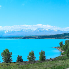 景点模块 