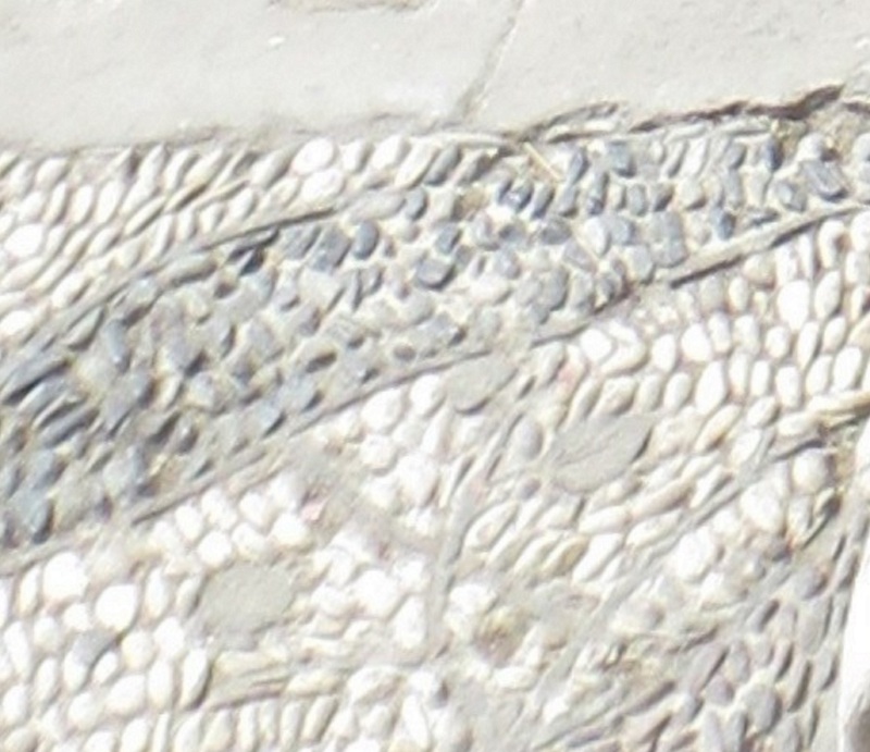 [北京中轴线上的名胜景区](十)故宫(3)皇宫内的