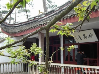 現(xiàn)在去普陀山旅游多少錢_特價普陀山游_近期普陀山游價格