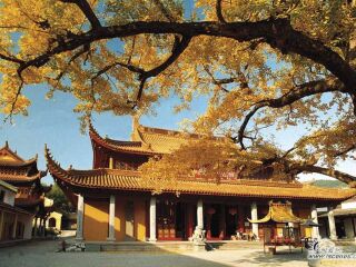 現(xiàn)在去普陀山旅游多少錢_特價普陀山游_近期普陀山游價格