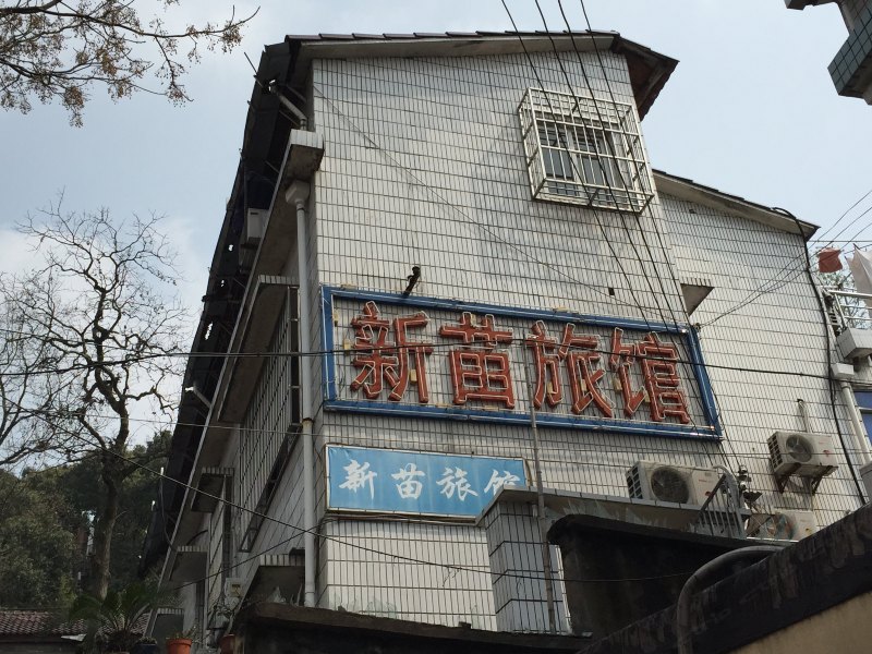杭州新苗旅馆