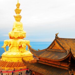 景点模块 