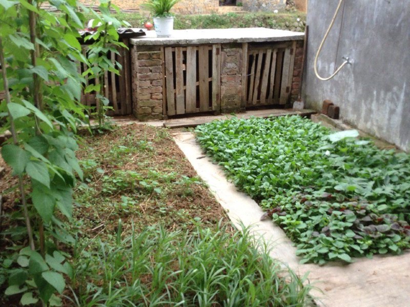 永定松竹家庭旅馆