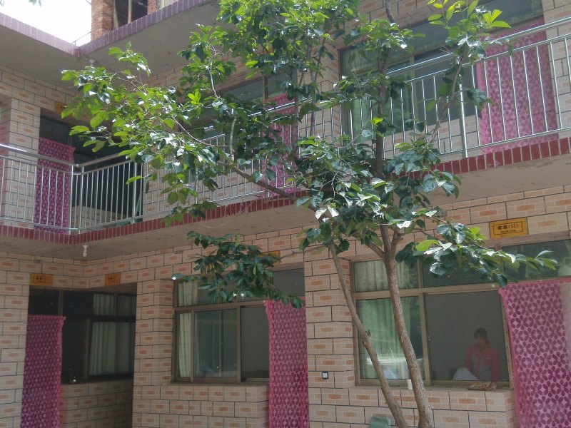 hotelPic