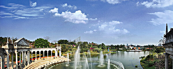 picture